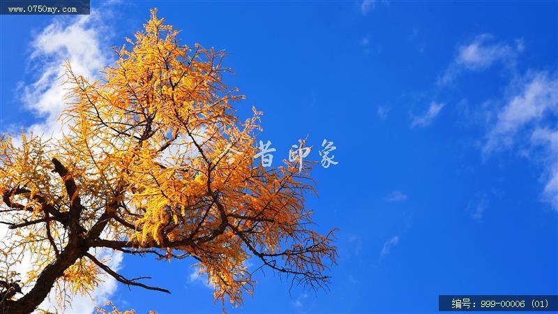 稻城亚丁_风景,景色,自然景观,自然,旅游记事