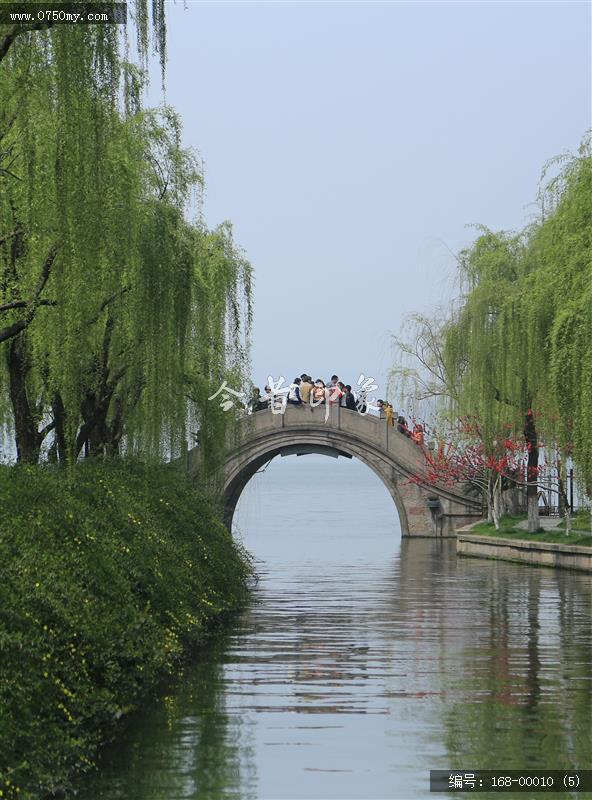 杭州西湖_西湖,美景,景色,自然景观,柳树