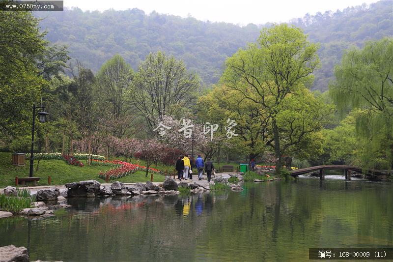 杭州太子湾_太子湖,景色,植物,树,旅游,景点