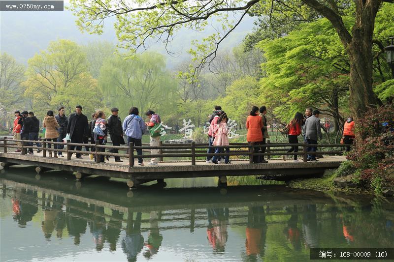 杭州太子湾_太子湖,景色,植物,旅游,景点