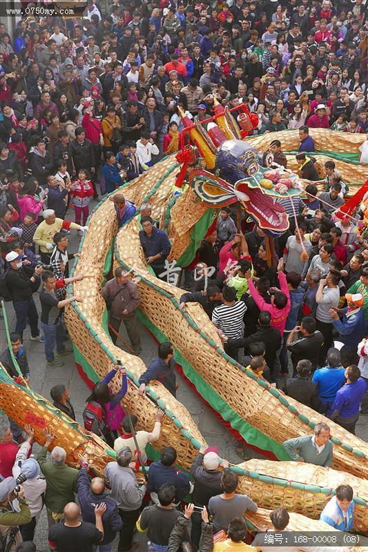 三江春节舞龙_三江,春节,舞龙,传统文化,传统节日