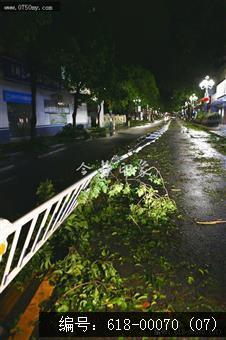 台风“山竹”对新会城区的影响