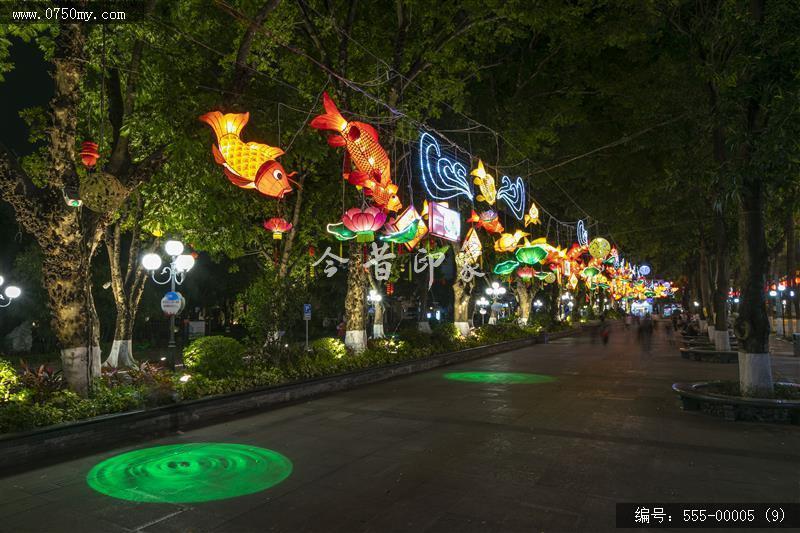 新会鱼灯 (9)_新会鱼灯,鱼灯,文化,传承,夜景,人民会堂,学宫