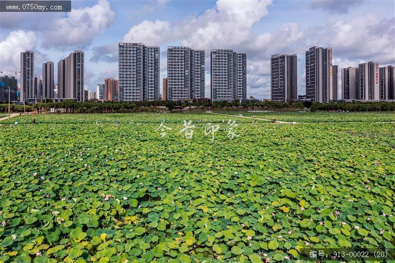 梅江生态园_航拍,生态环境,城市发展