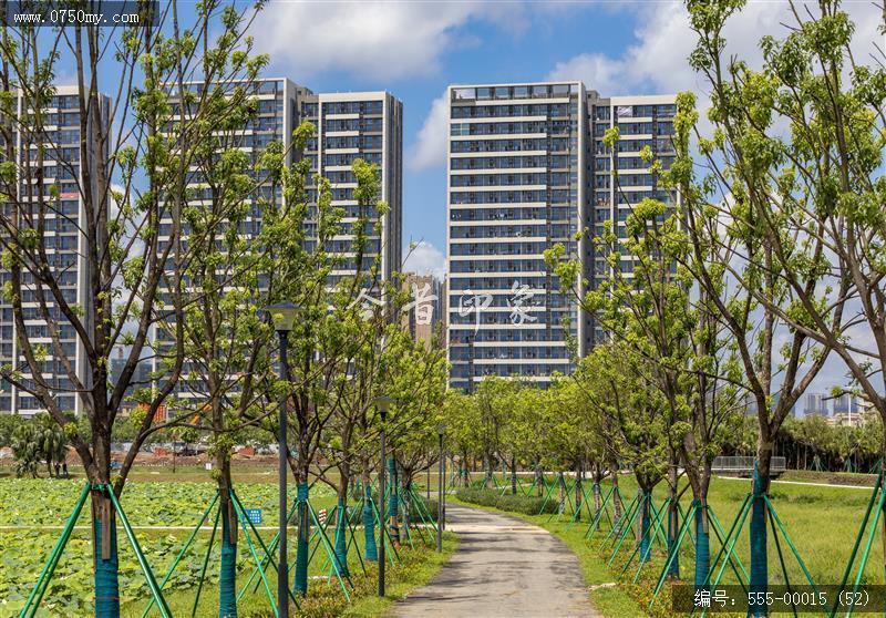 梅江农业生态园（一期） (52)_城市提质,梅江,生态,梅江农业生态园,荷花,休闲,绿色,运动