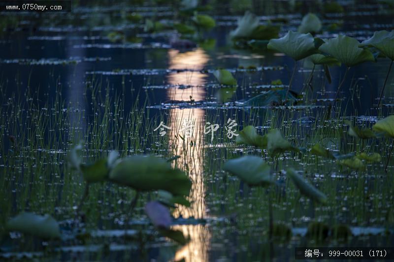 梅江生态园_人居环境,城市景色