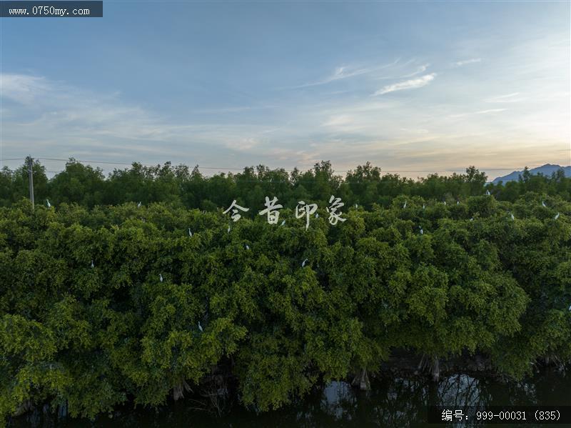 银湖湾_旅游景点,自然