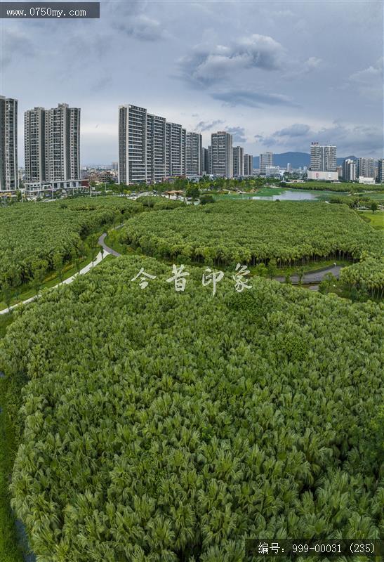 梅江生态园_人居环境,城市景色