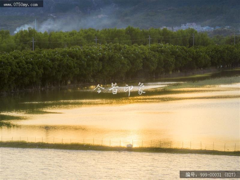 银湖湾_旅游景点,自然