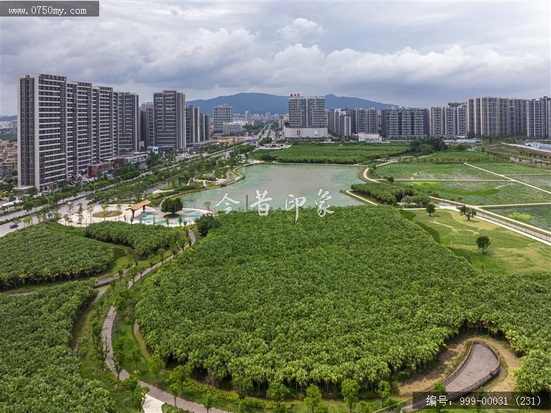 梅江生态园_人居环境,城市景色