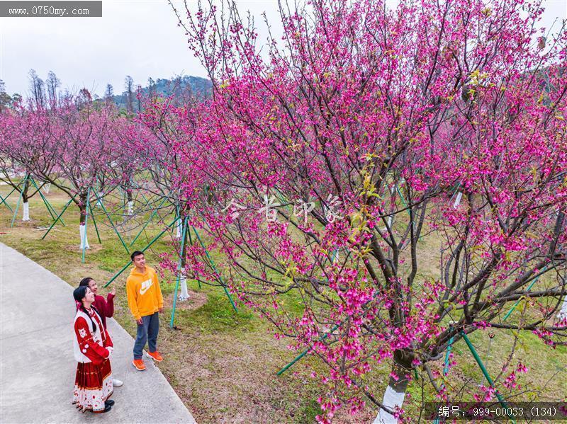 绿护萍_航拍,旅游景点