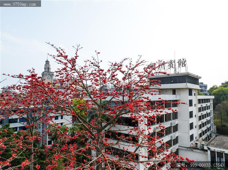 冈州宾馆_航拍,城市景色