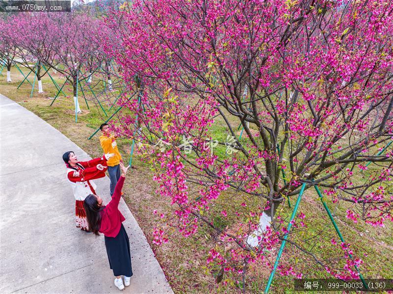 绿护萍_航拍,旅游景点