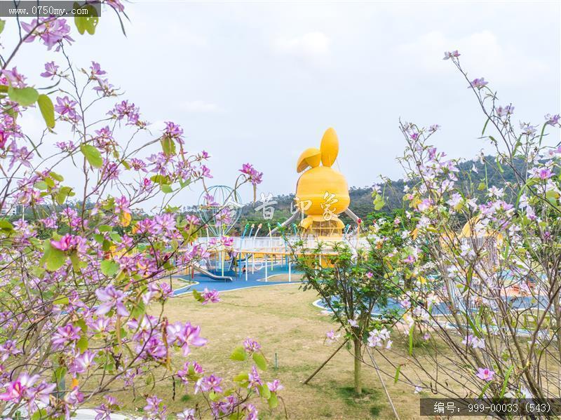 滑草场儿童公园_航拍,城市景色