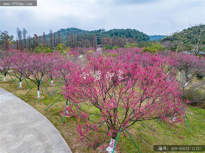 绿护萍_航拍,旅游景点