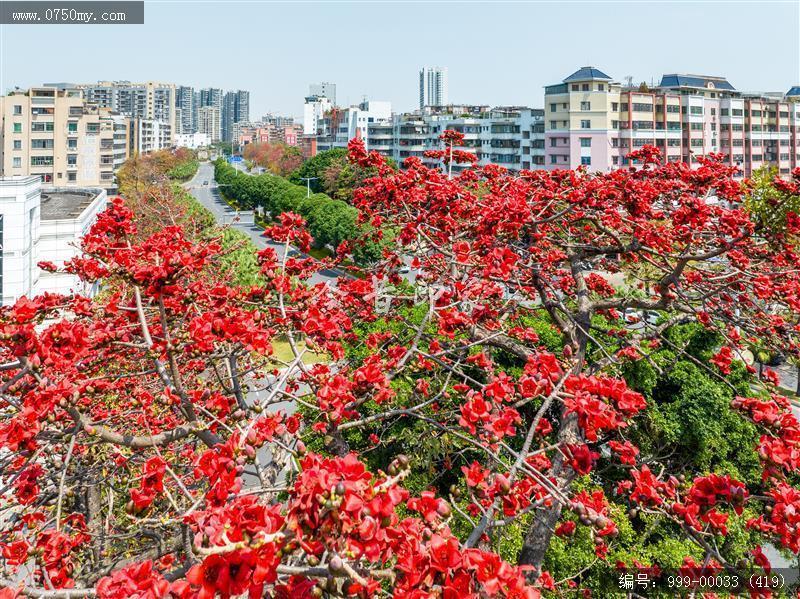 冈州广场_航拍,城市景色