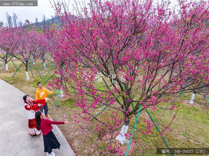 绿护萍_航拍,旅游景点