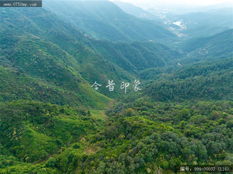 绿护萍_航拍,旅游景点