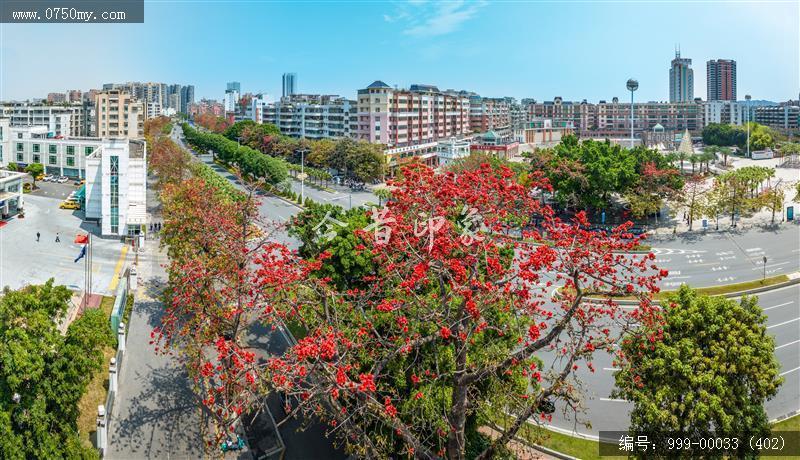 冈州广场_航拍,城市景色