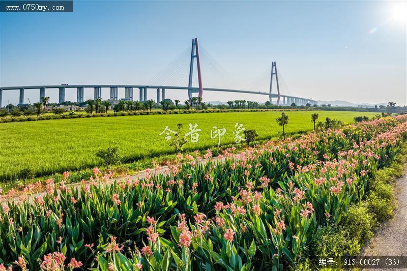 三江沙仔岛_航拍,美丽乡村
