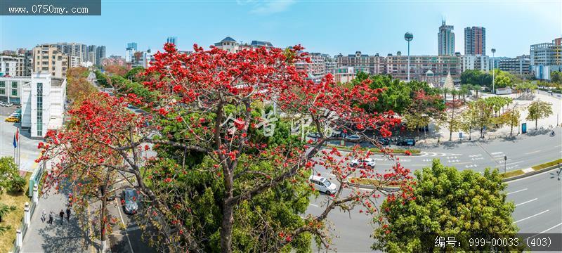 冈州广场_航拍,城市景色