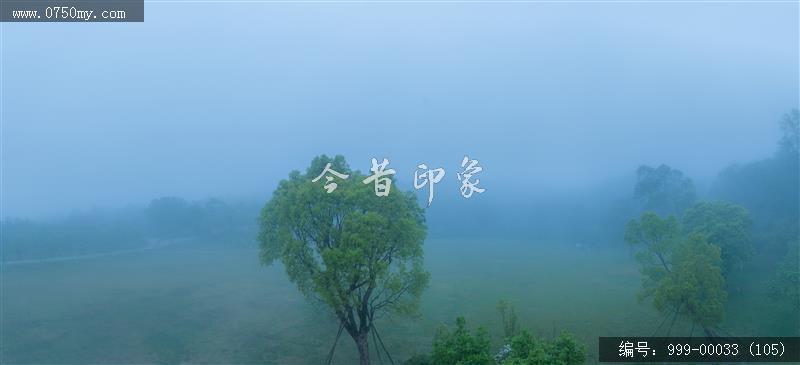 绿护萍_航拍,旅游景点