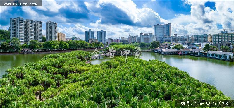 葵湖公园_航拍,人居环境