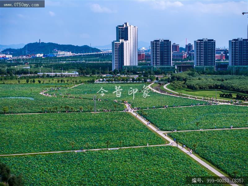 梅江生态园_航拍,人居环境