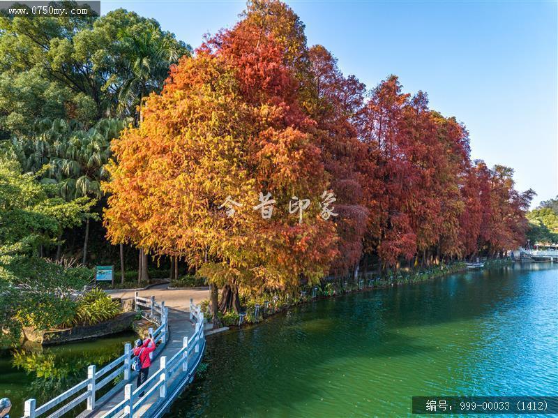 玉湖_航拍,旅游景点