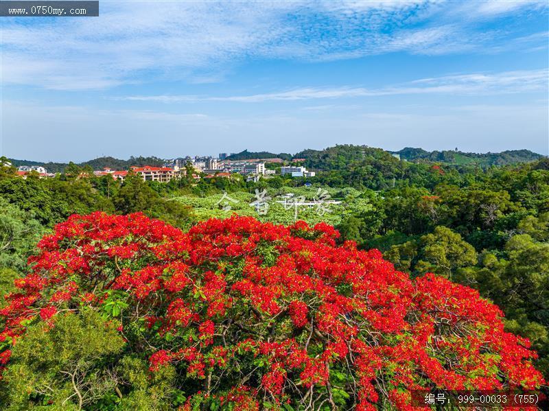 葵博园_航拍,旅游景点