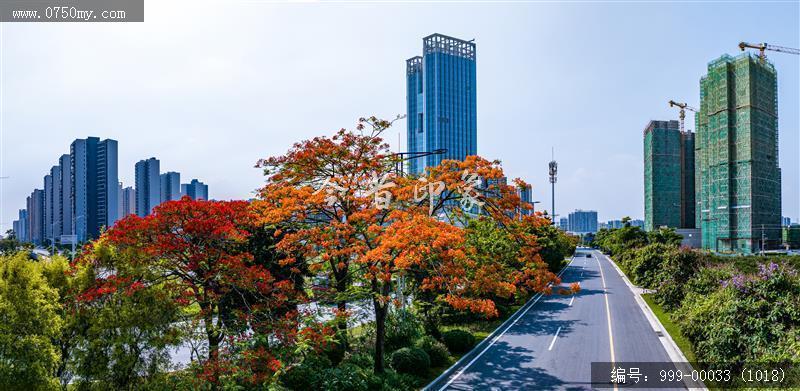 农商行总部_航拍,城市建设