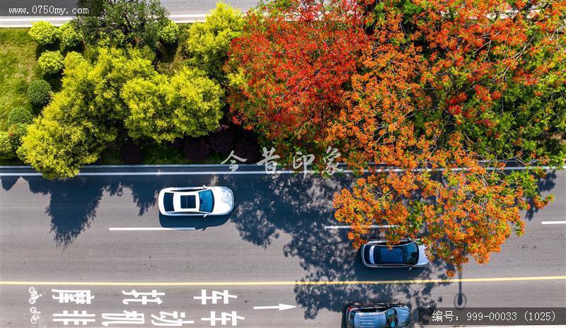 农商行总部_航拍,城市建设