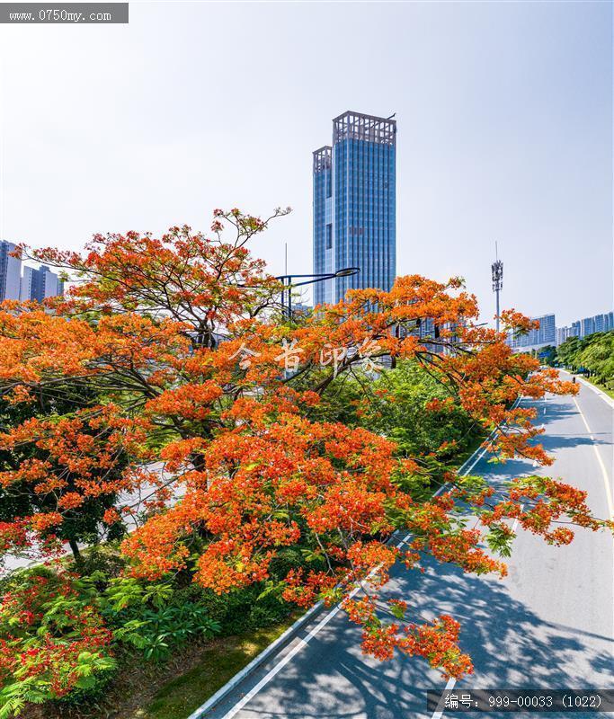 农商行总部_航拍,城市建设