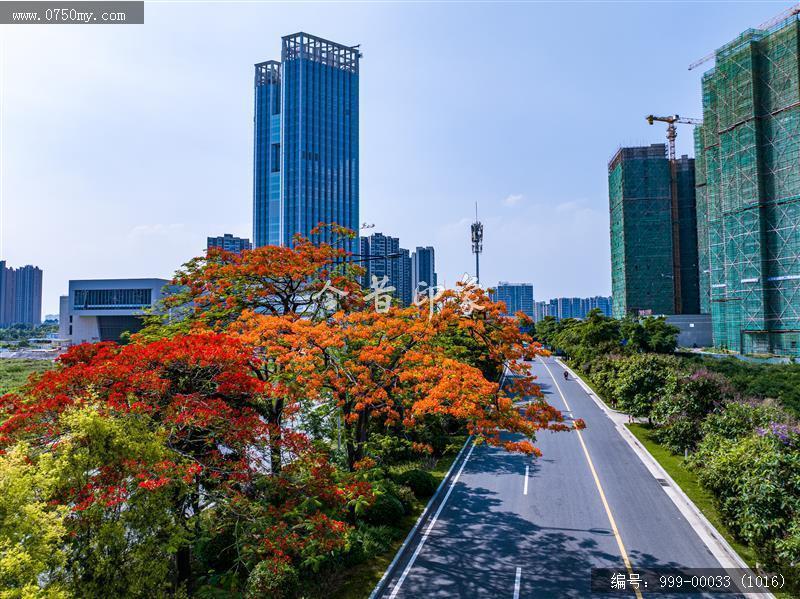 农商行总部_航拍,城市建设