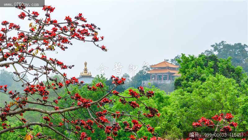 玉台寺_航拍