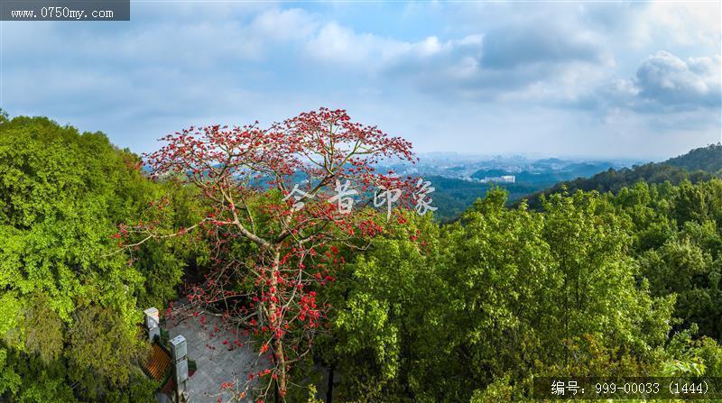 玉台寺_航拍