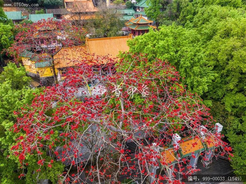 玉台寺_航拍