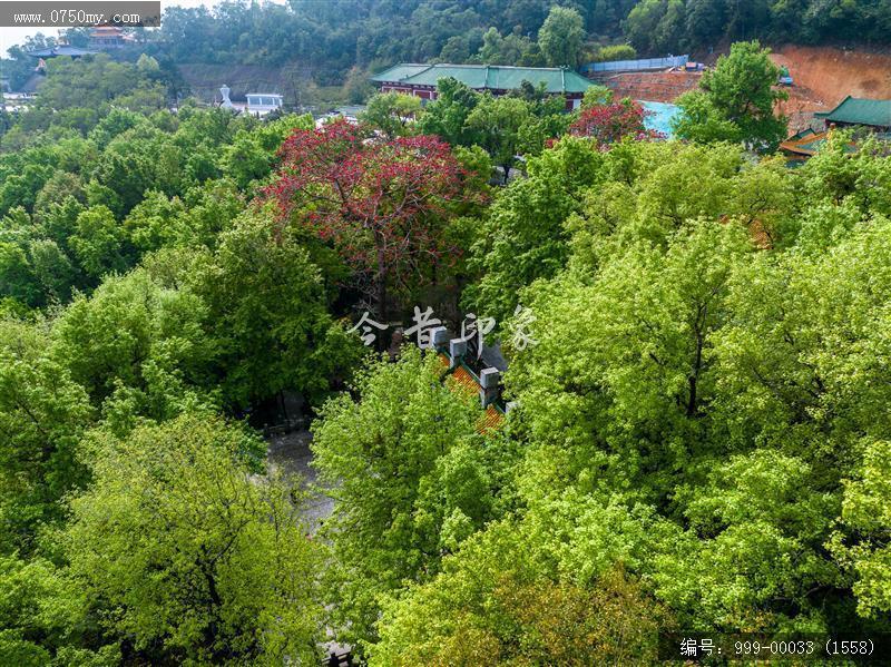 玉台寺_航拍