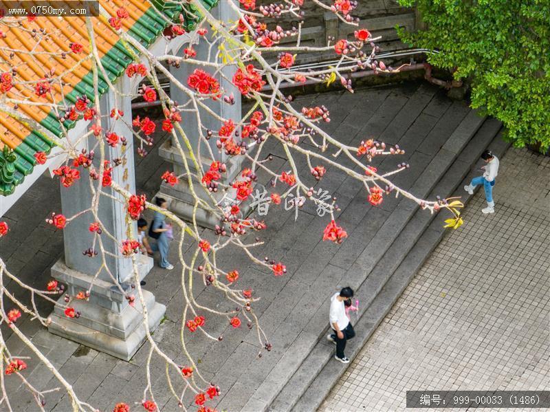 玉台寺_航拍