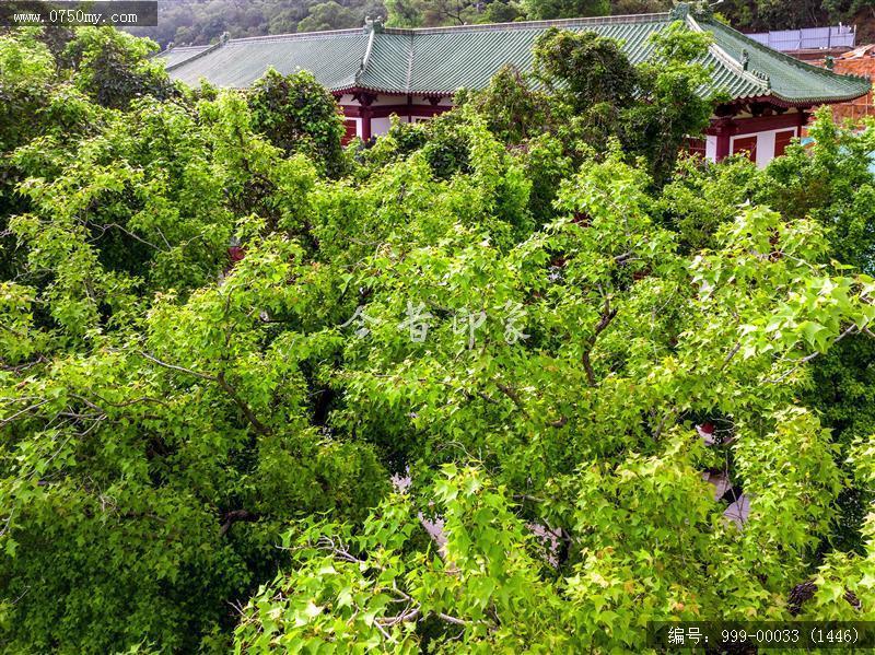 玉台寺_航拍