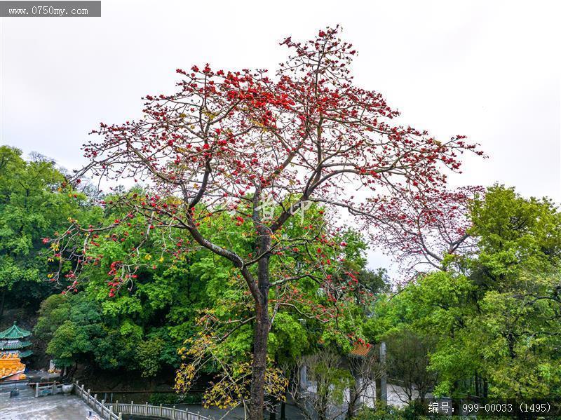 玉台寺_航拍