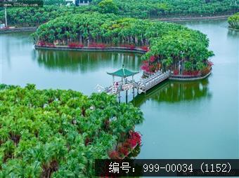 葵湖