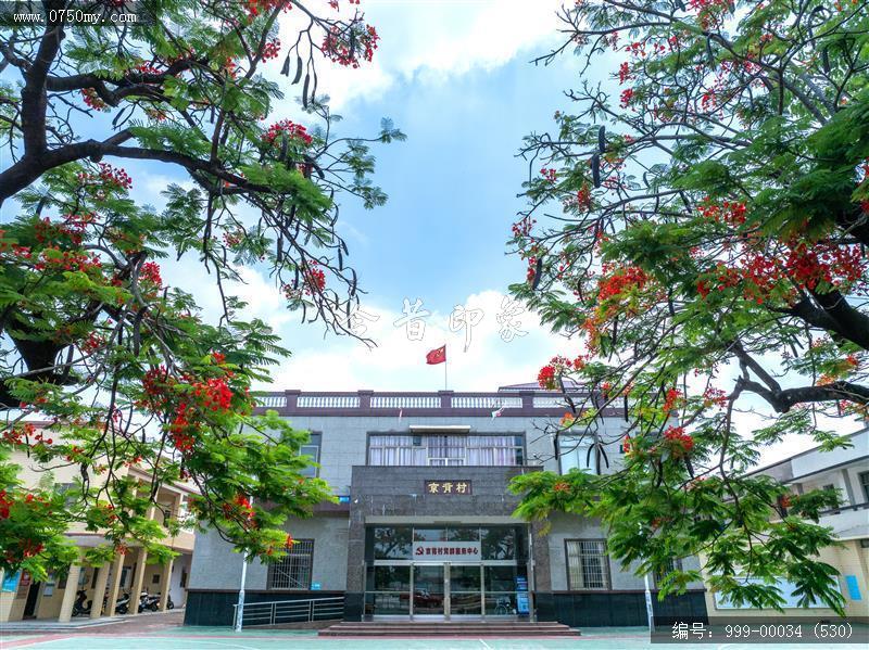 崖门_航拍,美丽乡村
