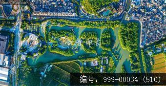 小鸟天堂