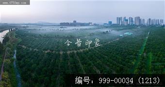 柑田