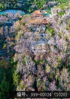 玉台寺