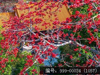 玉台寺