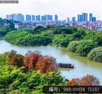 小鸟天堂
