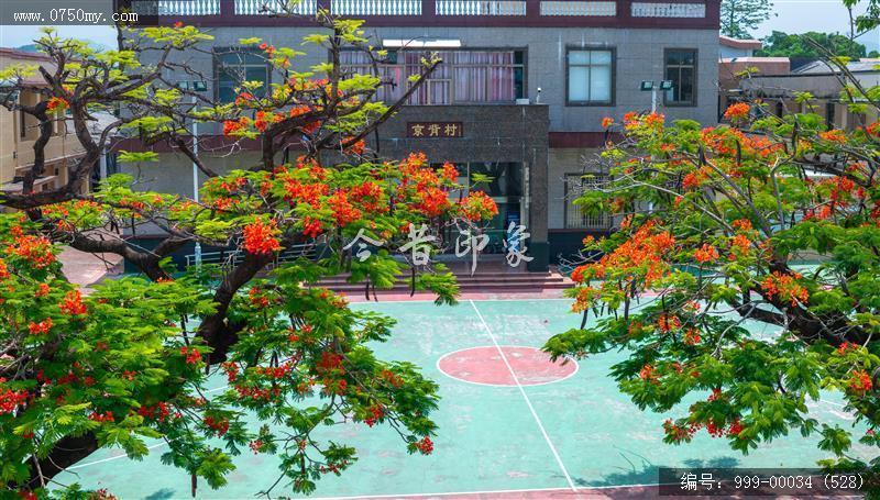 崖门_航拍,美丽乡村