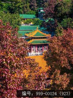 玉台寺